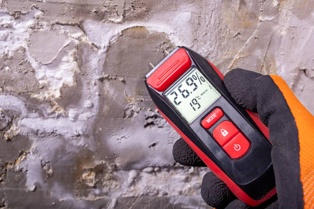 Best Preventive Mold Services in Tyndall Af, FL