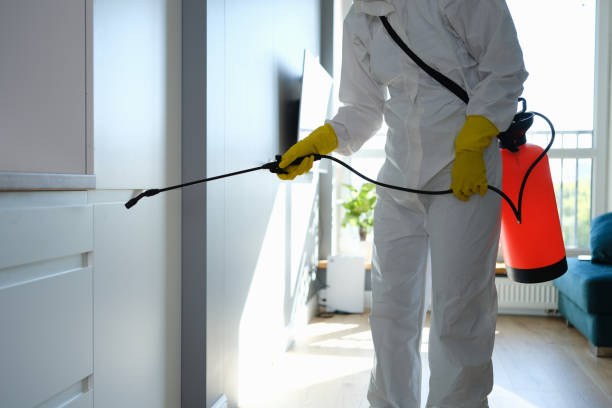 Best Commercial Mold Remediation in Tyndall Af, FL